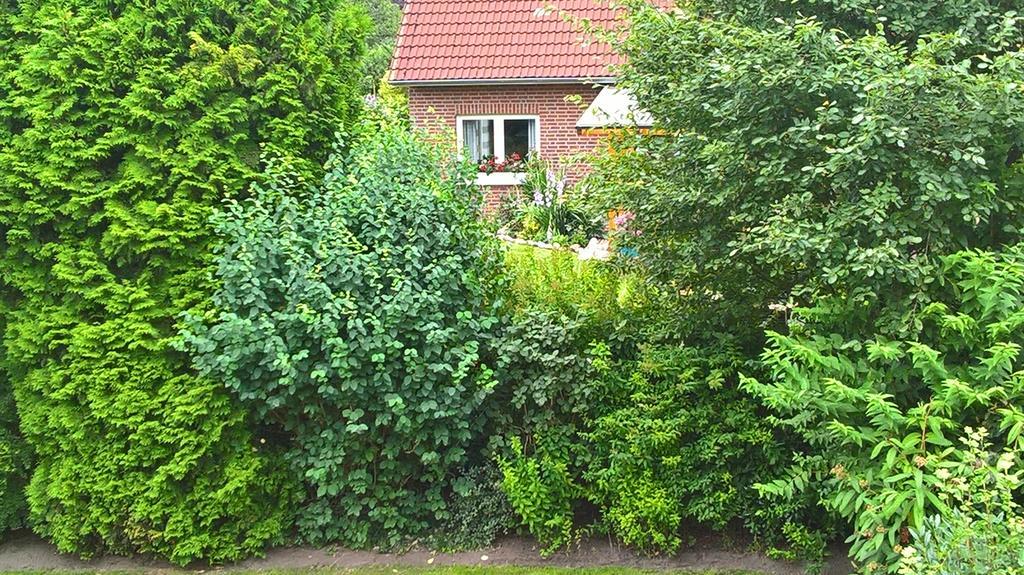 Ferienwohnung Fuchskuhle Bockhorn (Lower-Saxony) Exterior foto